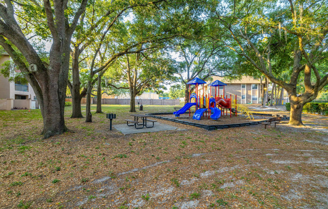 community playground and picnic area
