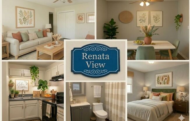 1 bed, 1 bath, 550 sqft, $720, Unit 305