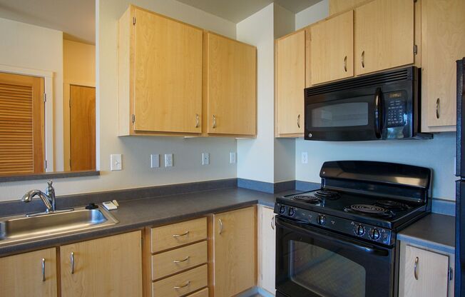 Light & Airy Modern 1 Bedroom w/Large Windows, A/C, & W/D!