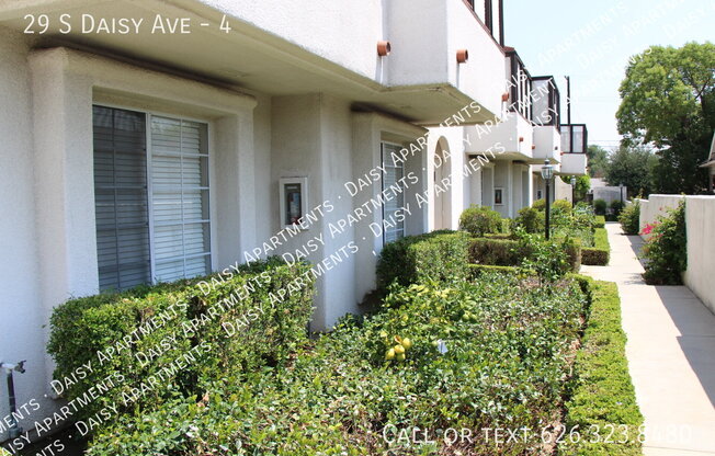 29 S DAISY AVE