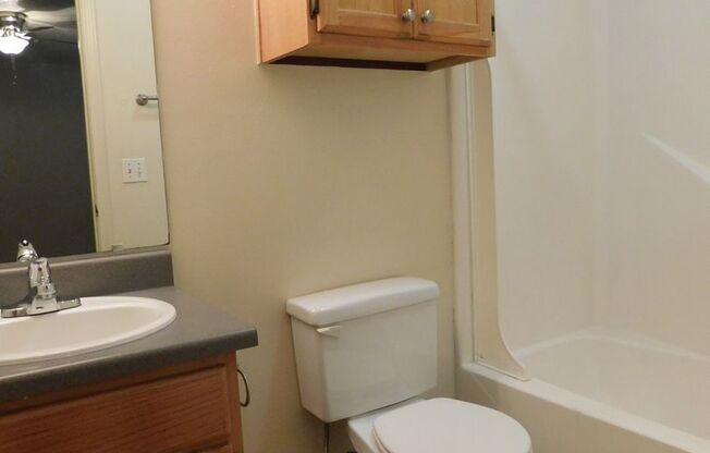 1 bed, 1 bath, 465 sqft, $785, Unit 1815 7