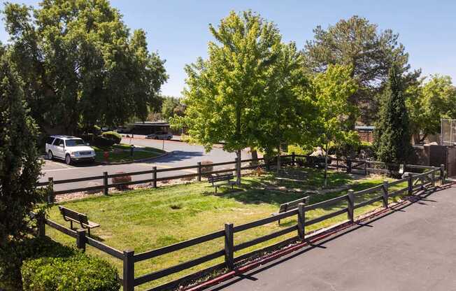 a view of the yard of a fenced in yard with trees and a truck