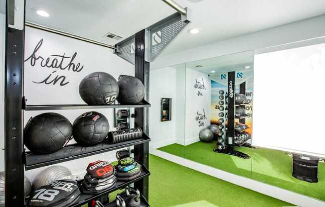 Colton Apartments free weights with mirror in fitness area