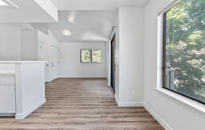 1 bed, 1 bath, 570 sqft, $1,425, Unit 1006-203