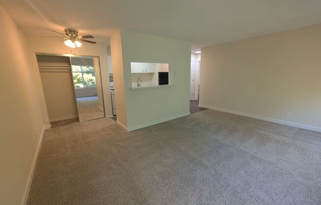 1 bed, 1 bath, 573 sqft, $1,745, Unit 307