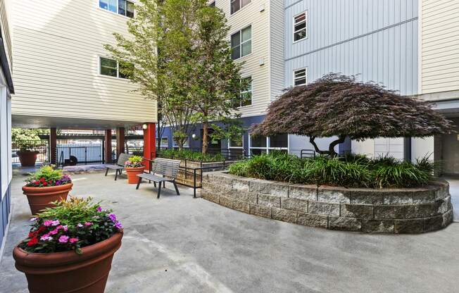 a courtyard with benches and potted plants in front of property building at Promenade at the Park Apartment Homes, Seattle, 98125