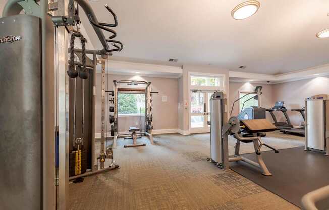 A gym with a variety of equipment including a squat rack, a bench press, and a treadmill.