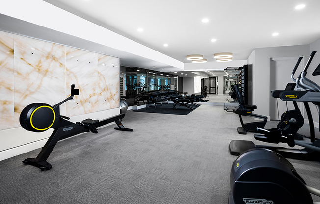 Premium fitness center complete with sleek fitness equipment imported from Italy