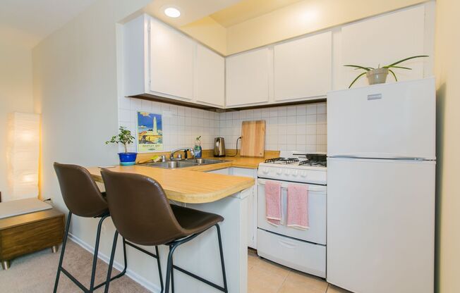 Studio, 1 bath, 400 sqft, $1,450, Unit 204