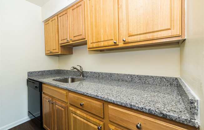Woodscape Apartments Upgraded Kitchen Counters