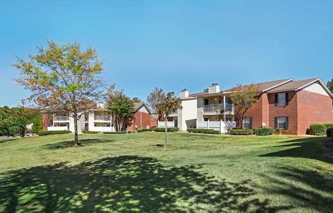 A large grassy field with a tree and apartment buildings in the background.