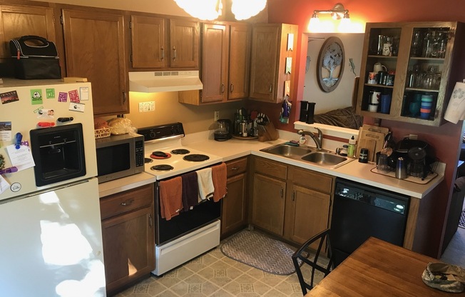 3D Tour Available - Super Cute House with HUGE Fenced-in Yard! Available March 6th!