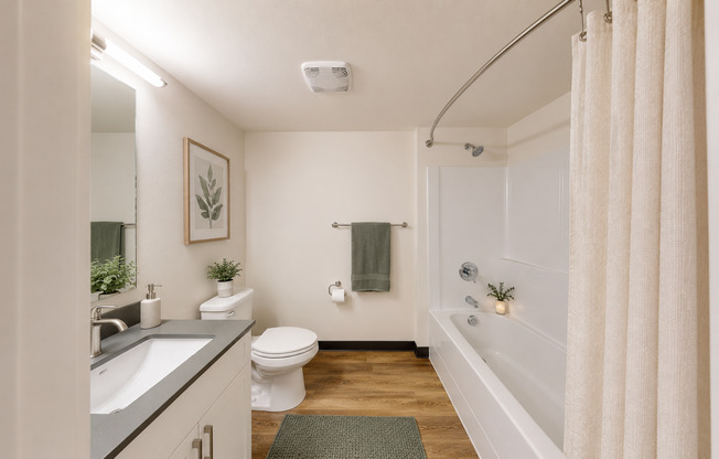 Studio, 1 bath, 338 sqft, $1,175, Unit 302