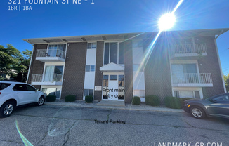 321 FOUNTAIN ST NE