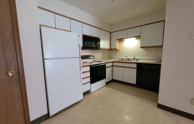 2 beds, 1 bath, $925, Unit 508