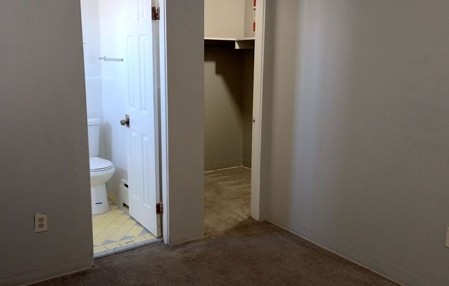 1 bed 1 bath with new wood flooring and paint.