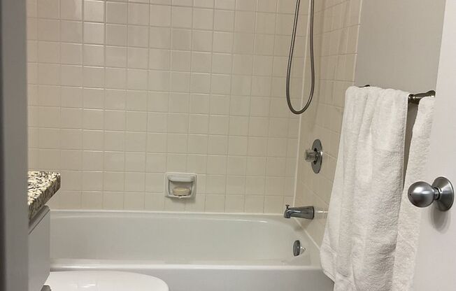 Studio, 1 bath, $1,395