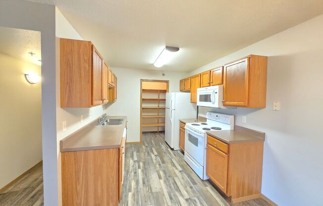 2 beds, 1 bath, 1,020 sqft, $1,175, Unit 203