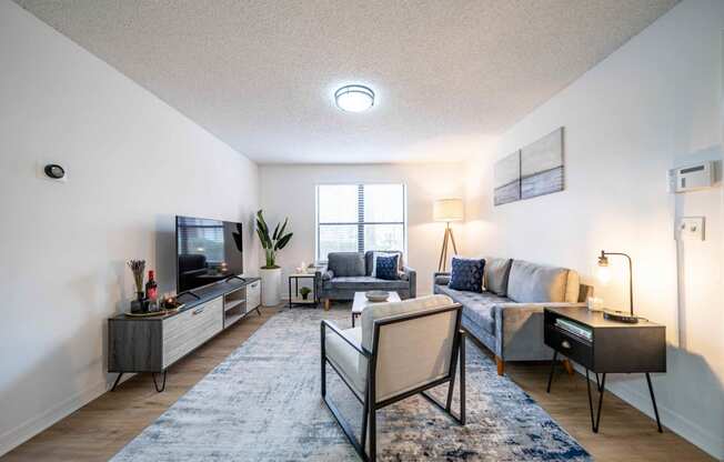 Living Room With TV  at Northlake Apartments, Florida, 32218