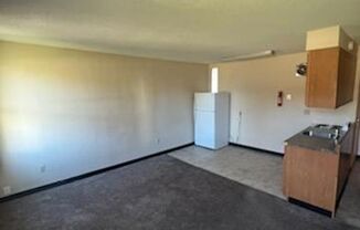 1 bed, 1 bath, 493 sqft, $650, Unit APT 4