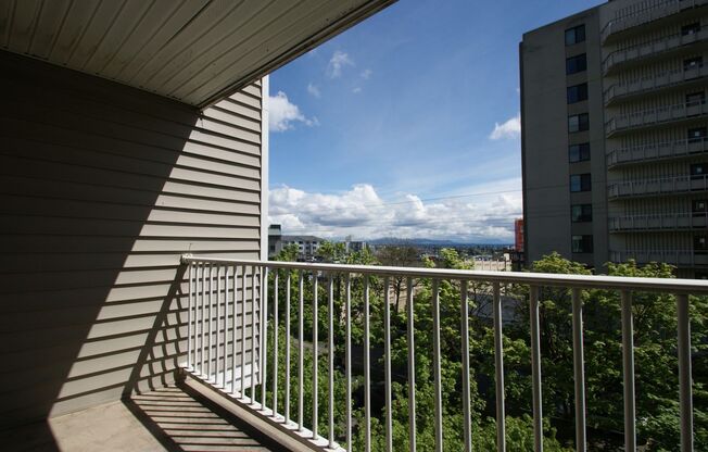 Studio, 1 bath, 413 sqft, $1,150, Unit 402