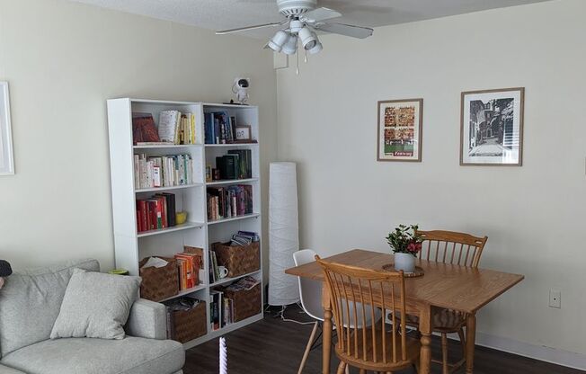 1 bed, 1 bath, 570 sqft, $2,850, Unit 507