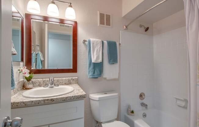 Bathroom With Bathtub at Nob Hill Apartments, Tennessee