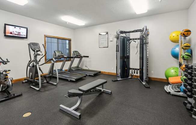 the gym with weights and cardio equipment at the apartments