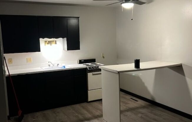 1 bed, 1 bath, $650