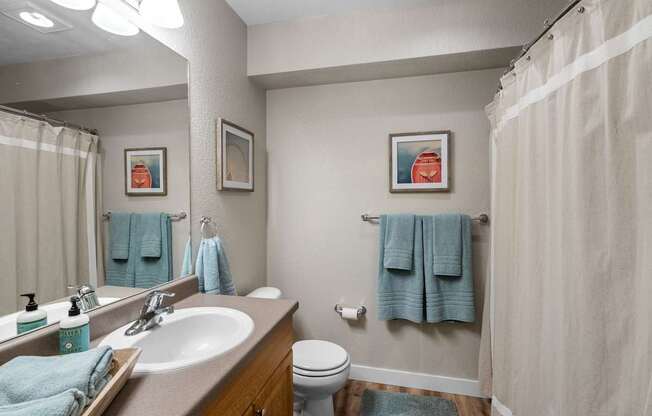 A bathroom with a toilet, sink, and shower curtain.