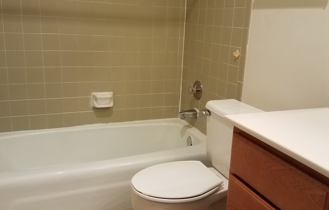 1 bed, 1 bath, 621 sqft, $795