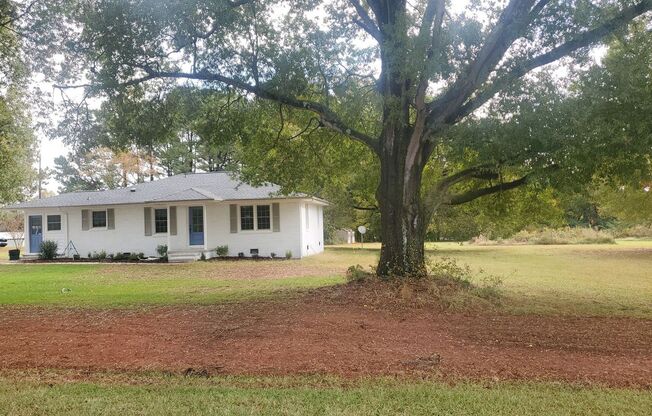 Newly Renovated 3 bedroom Single Family House!