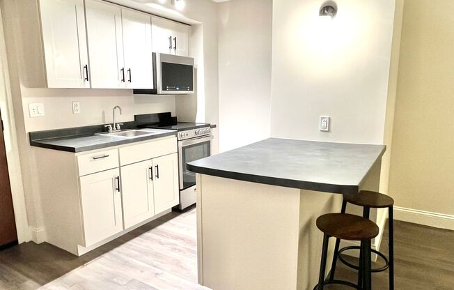 1 bed, 1 bath, 545 sqft, $1,900, Unit 308