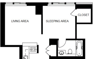 Studio, 1 bath, 444 sqft, $3,800, Unit 23C