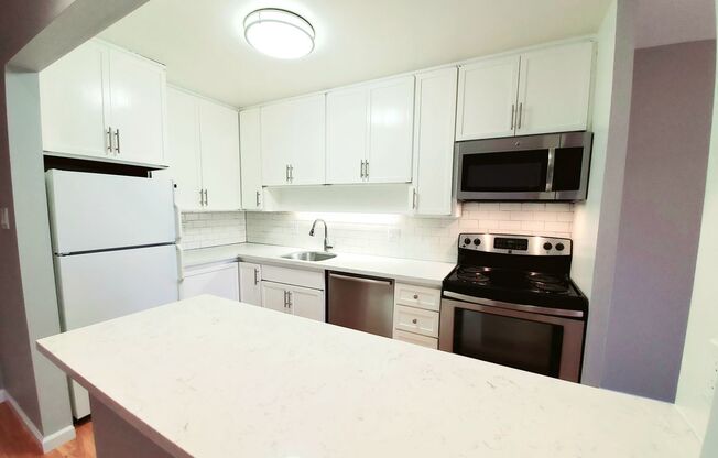 1 bed, 1 bath, $2,700