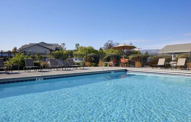 Pool & Patio