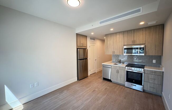 1 bed, 1 bath, $3,000, Unit 419