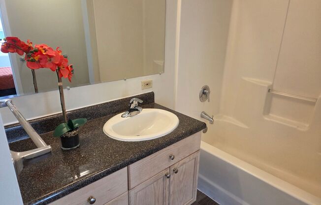 1 bed, 1 bath, 500 sqft, $1,590, Unit 807