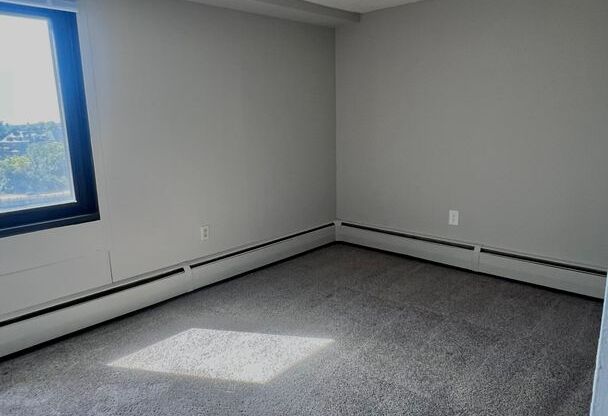 2 beds, 1 bath, 710 sqft, $1,250, Unit # 1309