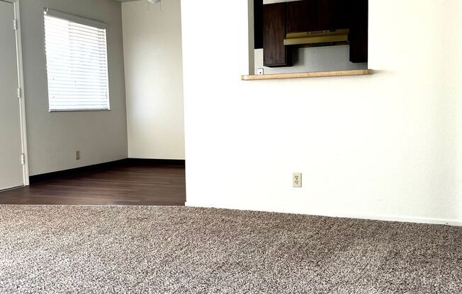 1 bed, 1 bath, 700 sqft, $995, Unit 3