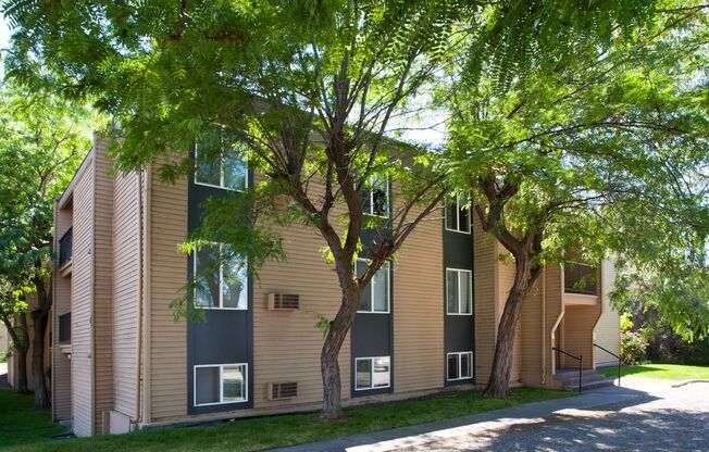 1 bed, 1 bath, 700 sqft, $1,025