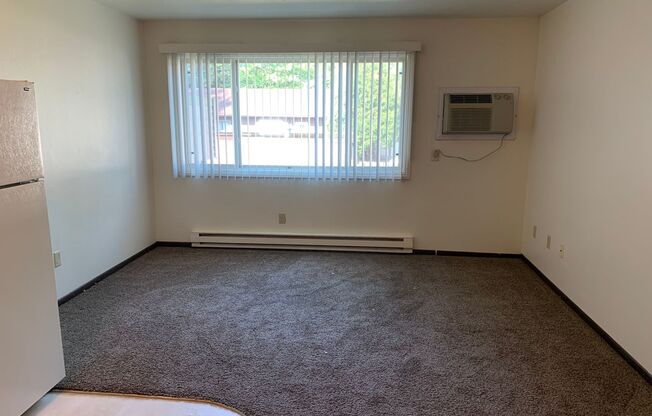Studio, 1 bath, 325 sqft, $555, Unit 1929-15