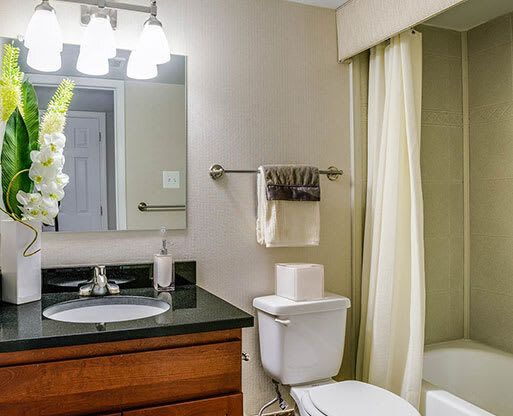 a bathroom with a toilet and a sink and a mirror