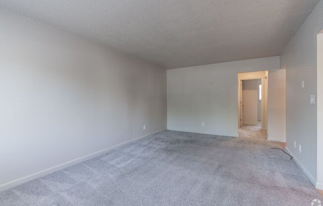 Willow Lake Apartments