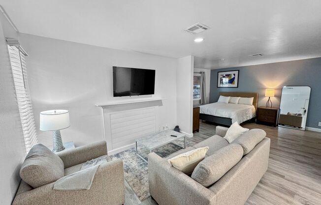 Studio, 1 bath, 500 sqft, $1,880, Unit BLDG 1036 - APT 103