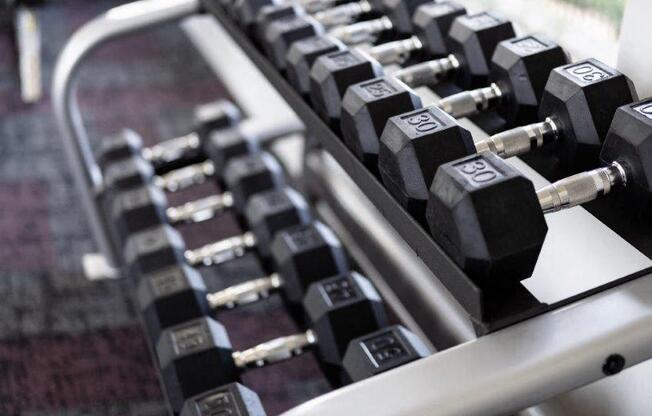 free weights at Vista Grove Apartments, Mesa, Arizona