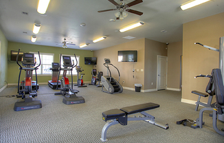Gallery Photo 2