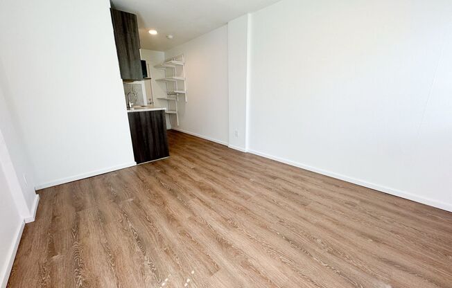 Studio, 1 bath, 186 sqft, $1,325, Unit 213