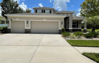 23907 SAN GIOVANNI DR