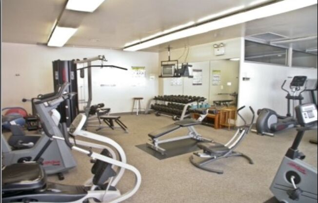 1 bed, 1 bath, $1,850